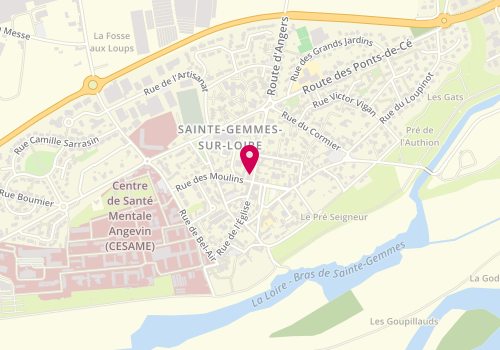 Plan de Les Pains de Mon Moulin, 1 avenue du Commerce, 49130 Sainte-Gemmes-sur-Loire